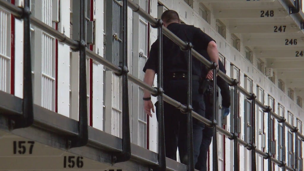 More than two dozen Georgia prisons on lockdown over security concerns following inmate fight — Johns Creek Health news